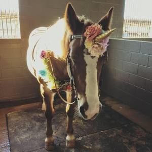 Meet your Posher, Nia